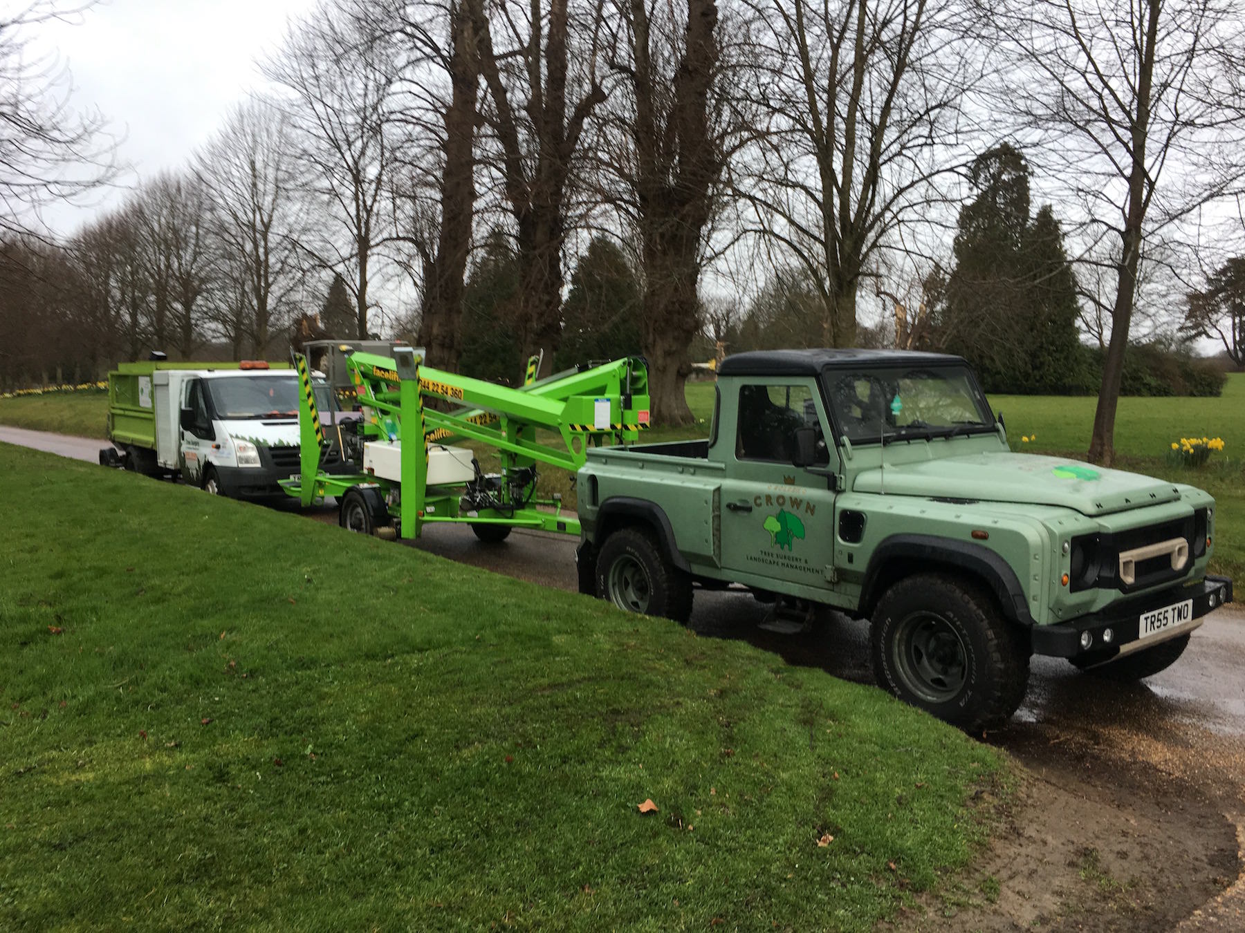 Tree Surgeon and landscape