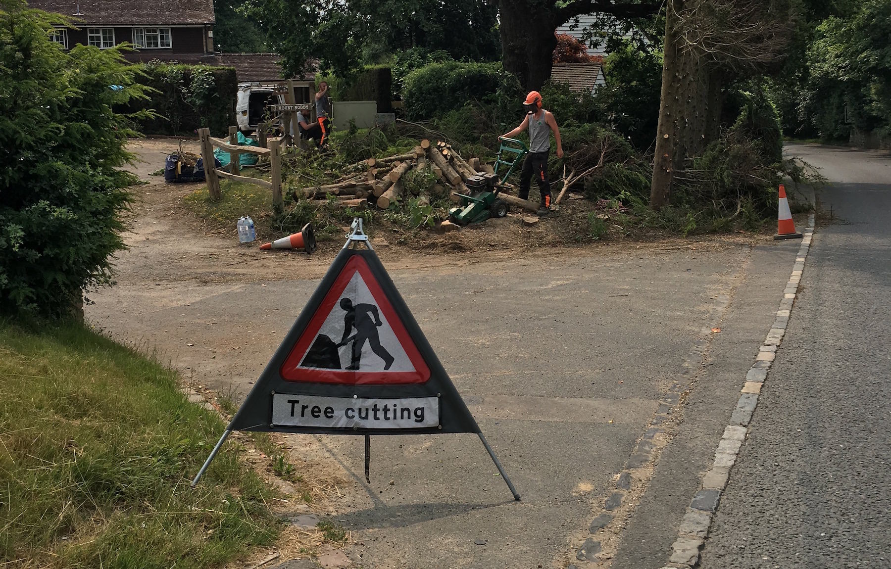 Tree Surgery Haywards Heath