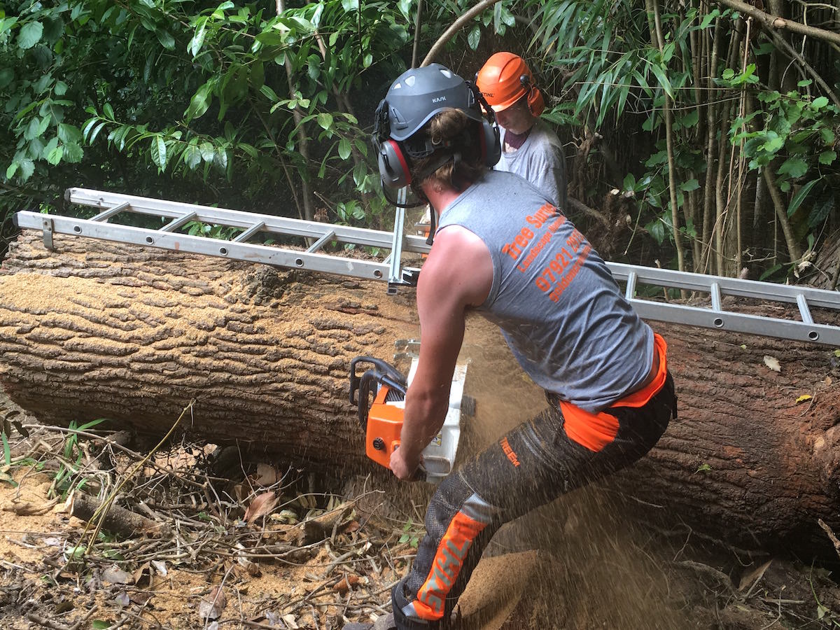 Alaskan Milling Tunbridge Wells