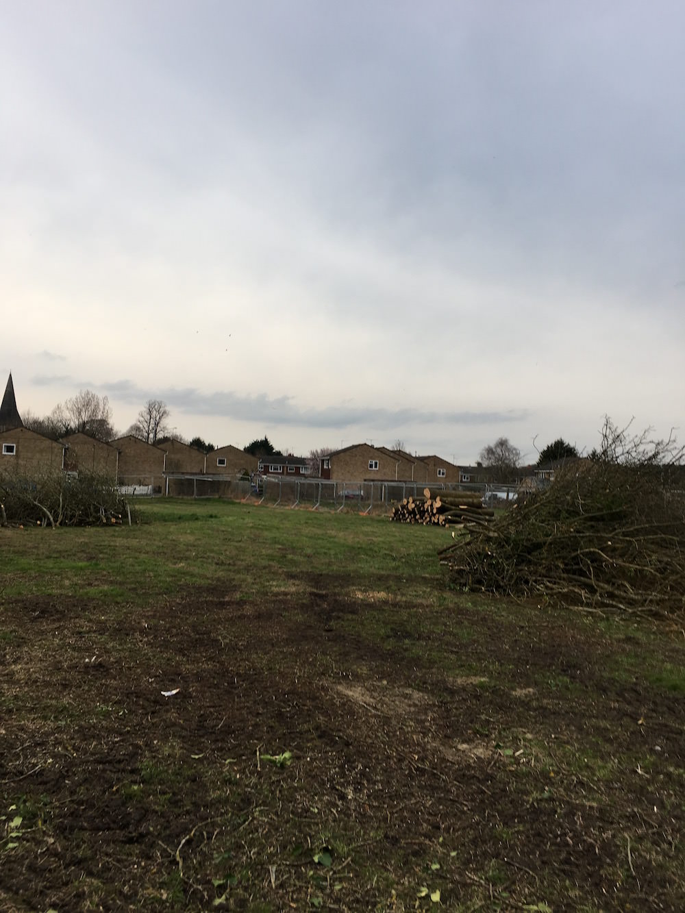 Tree Surgeon Site Clearance